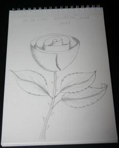 Trandafir desen Marius
