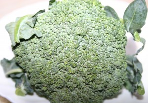 Broccoli