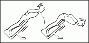 exercice-dos-lombaires