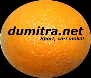 dumitra_net_orange_02_twitter