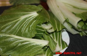 Bok choy2