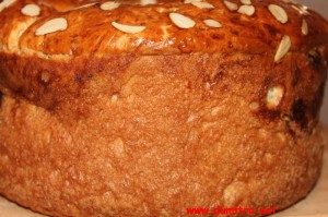 Panettone cu merisoare si stafide2