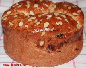 Panettone cu merisoare si stafide4