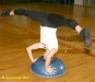 bosu033