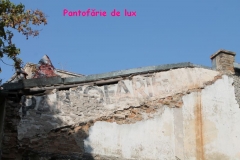 pantofarie de lux